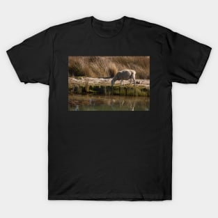 From the Paddock; Reflections T-Shirt